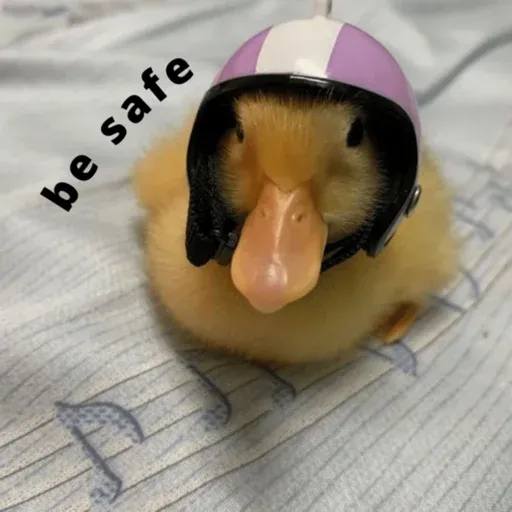 duck 2 - Sticker 26