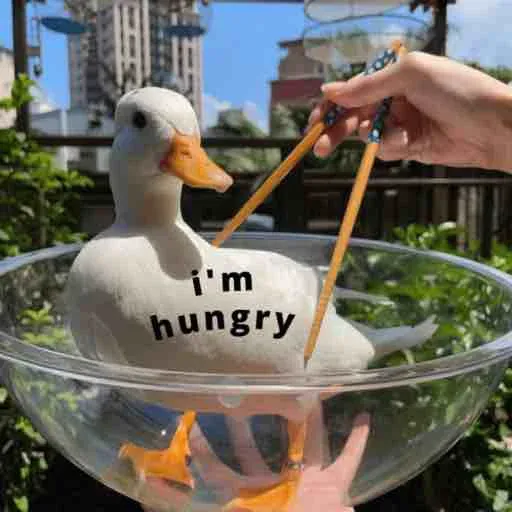 duck 2 - Sticker 13