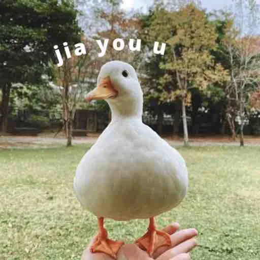 duck 2 - Sticker 14