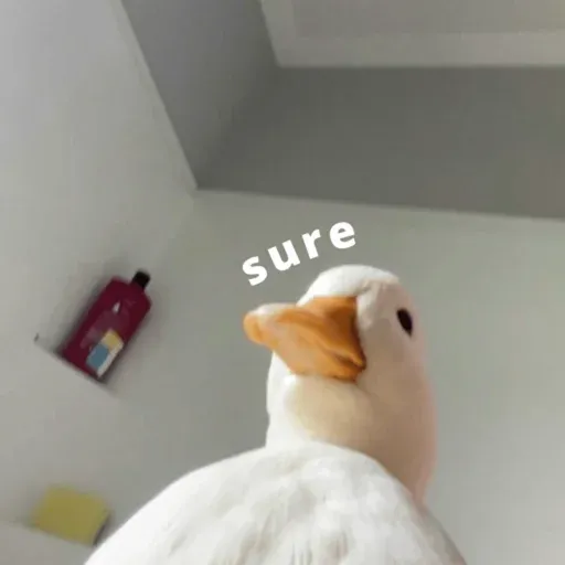 duck 2 - Sticker 17