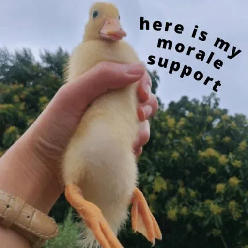 duck 2 - Sticker 28