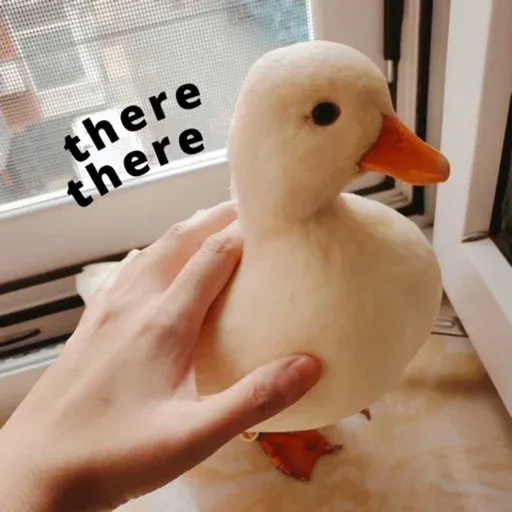 duck 2 - Sticker 30