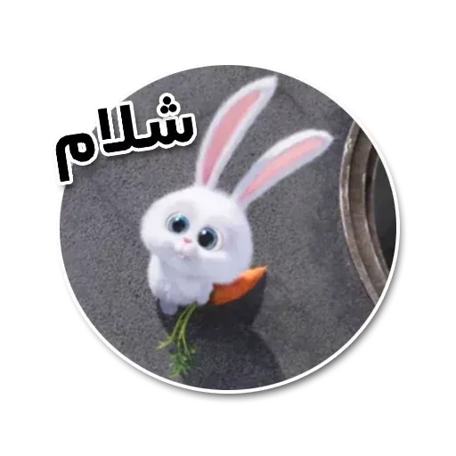 M - Sticker 17