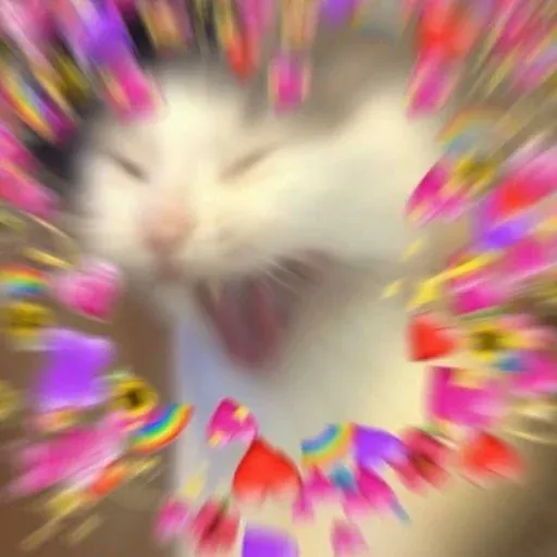 Cute catto - Sticker 13