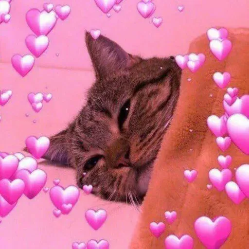 Cute catto - Sticker 15
