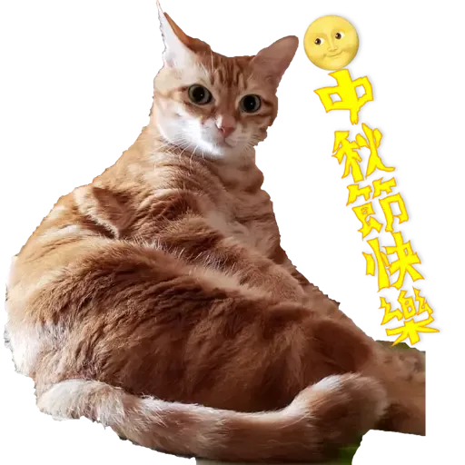 Tora and Kani 2 - Sticker 10