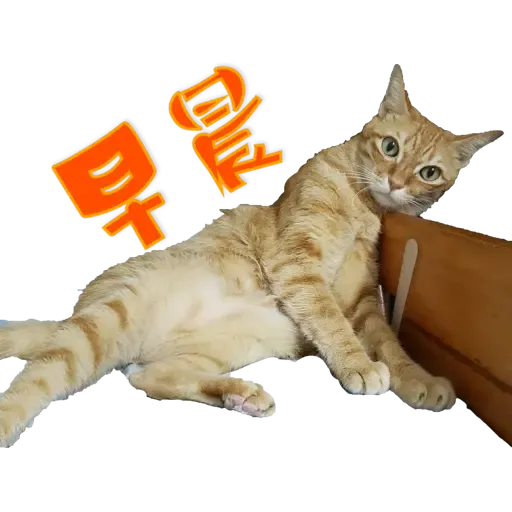 Tora and Kani 2 - Sticker 18