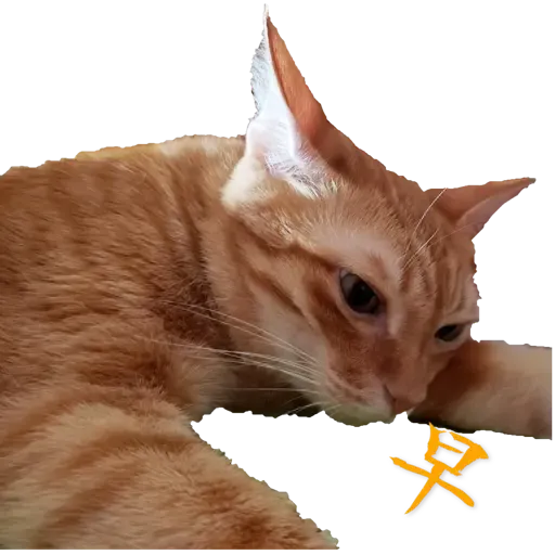 Tora and Kani 2 - Sticker 26