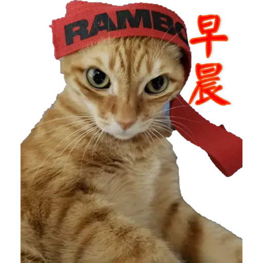 Tora and Kani 2 - Sticker 22