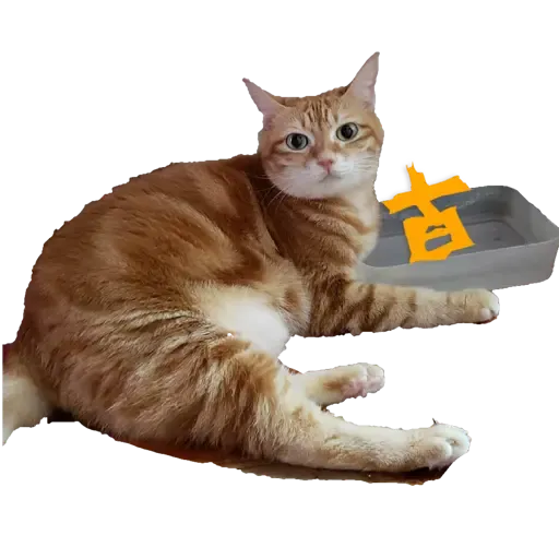 Tora and Kani 2 - Sticker 19