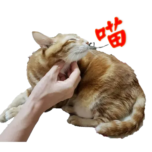 Tora and Kani 2 - Sticker 12