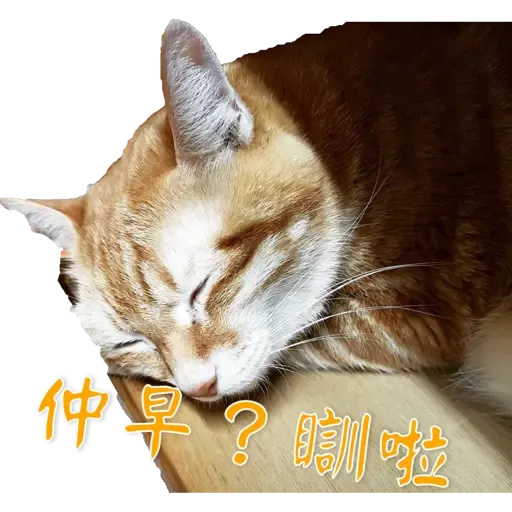Tora and Kani 2 - Sticker 14