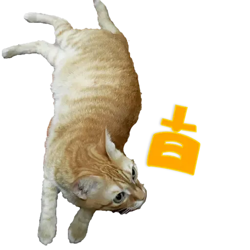 Tora and Kani 2 - Sticker 29