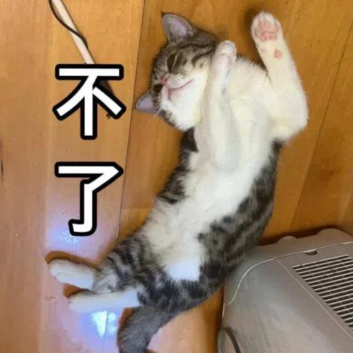Cat - Sticker 10