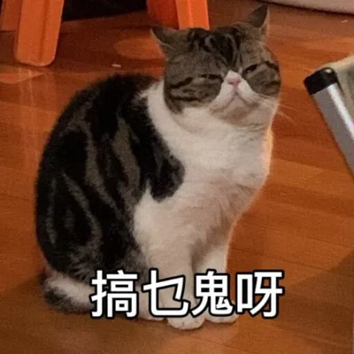 Cat - Sticker 14