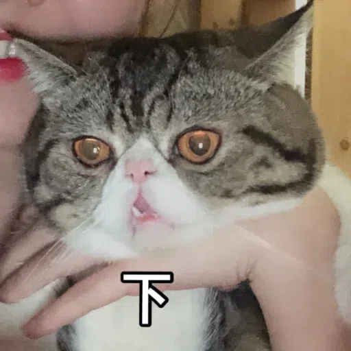 Cat - Sticker 11