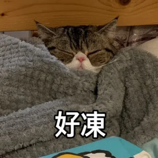 Cat - Sticker 20