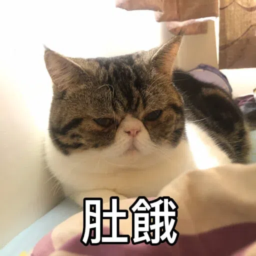Cat - Sticker 13