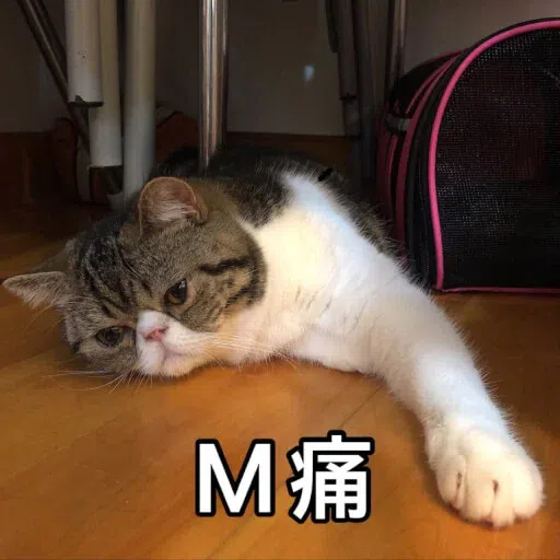 Cat - Sticker 16