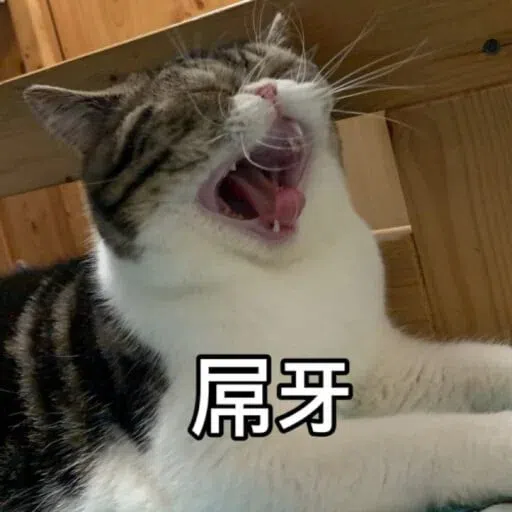 Cat - Sticker 19