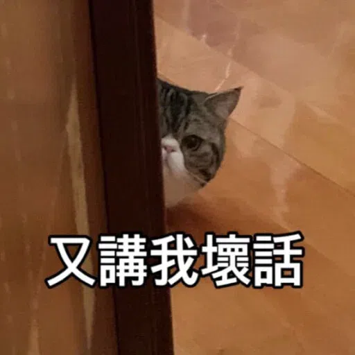 Cat - Sticker 9