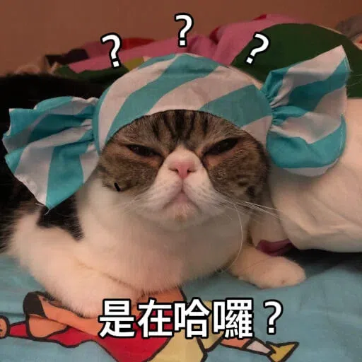 Cat - Sticker 22