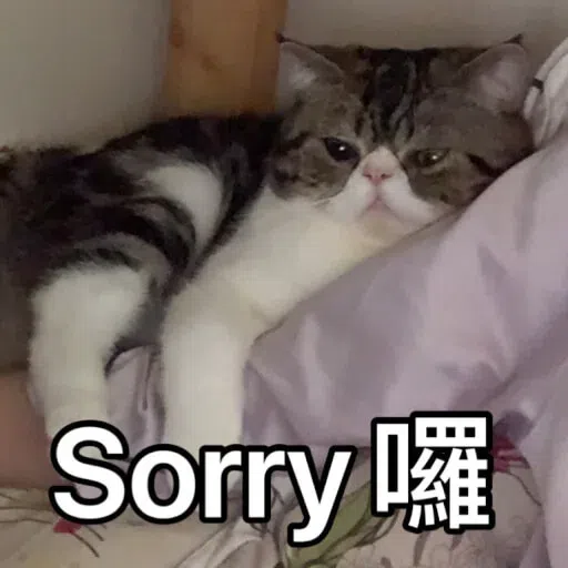 Cat - Sticker 18