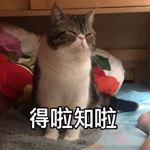 Cat - Sticker 15