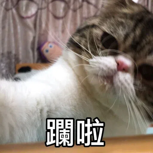Cat - Sticker 21