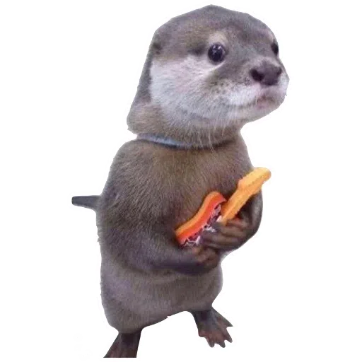 Meme Cemetery 1 - Sticker 24