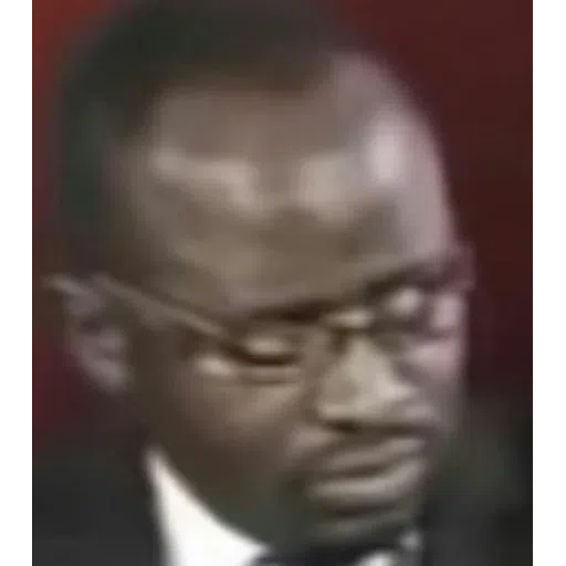 Nibba - Sticker 12