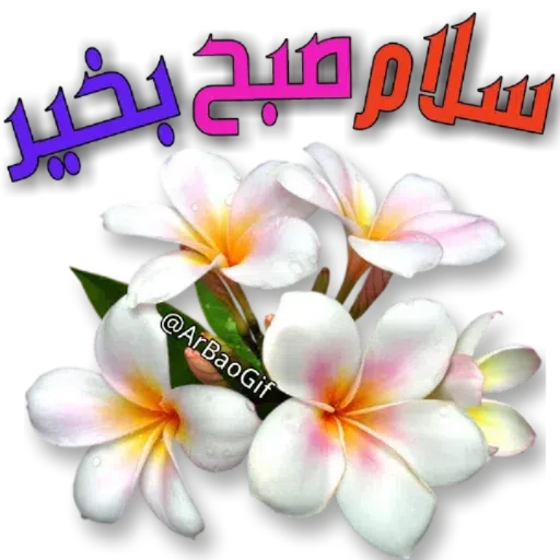 Sobhbekheir - Sticker 10