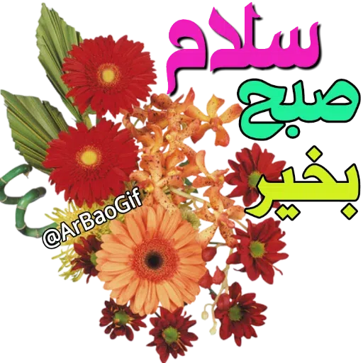 Sobhbekheir - Sticker 17