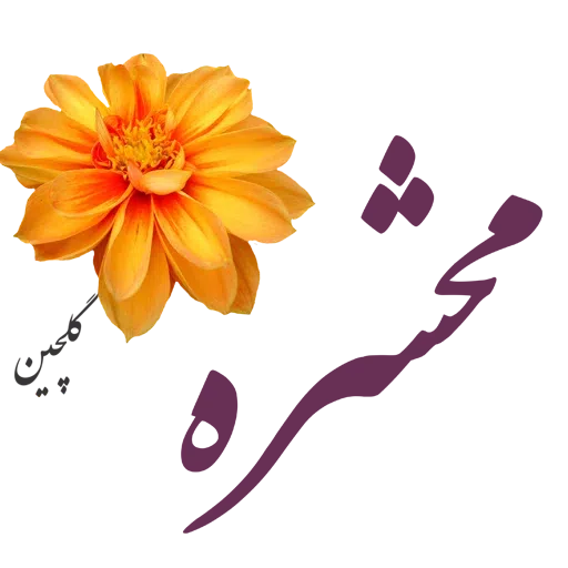 Sobhbekheir - Sticker 26