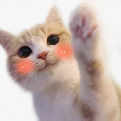 Cattt - Sticker 30