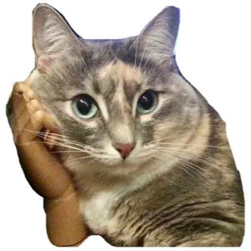 Cats4Lux - Sticker 27