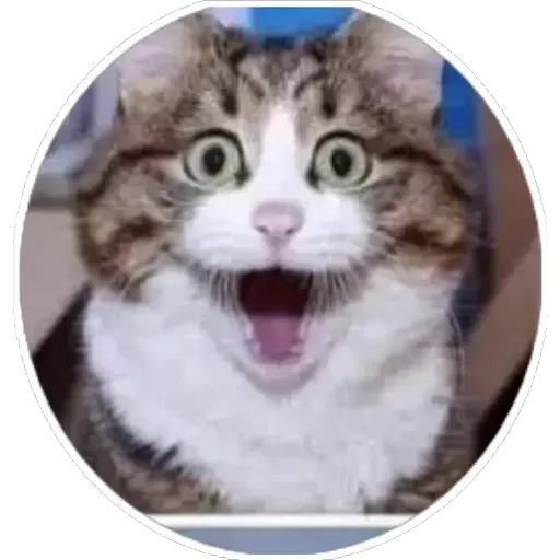 Cats4Lux - Sticker 18