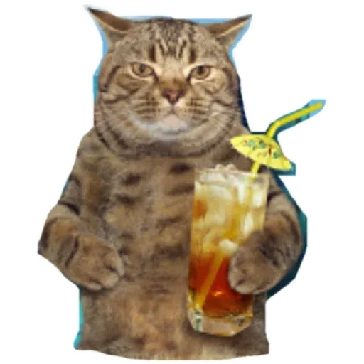 Cats4Lux - Sticker 16