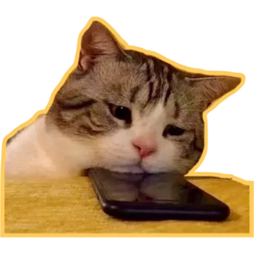 Cats4Lux - Sticker 22