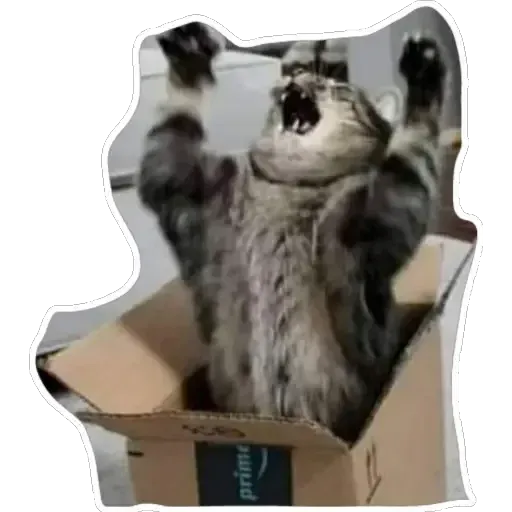 Cats4Lux - Sticker 19