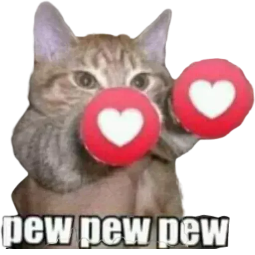 Cats4Lux - Sticker 20