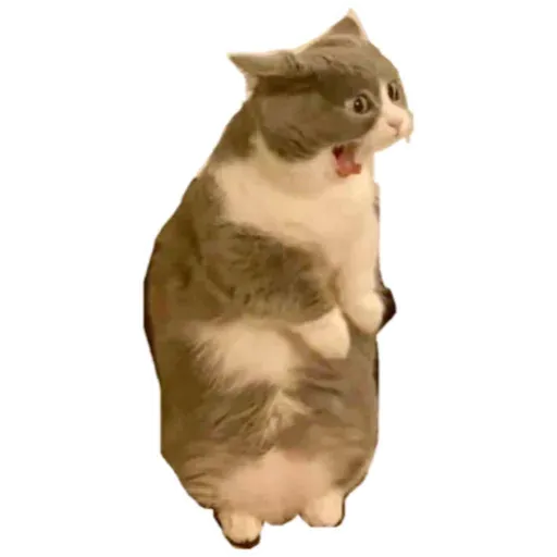 Cats4Lux - Sticker 15