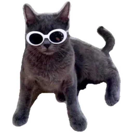 Cats4Lux - Sticker 10