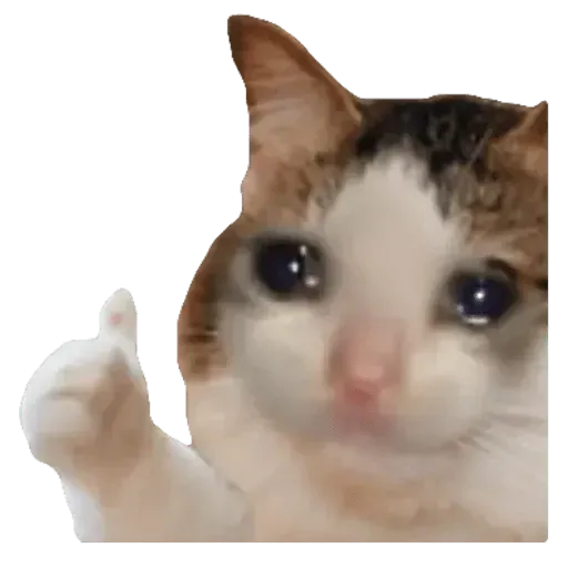 Cats4Lux - Sticker 24