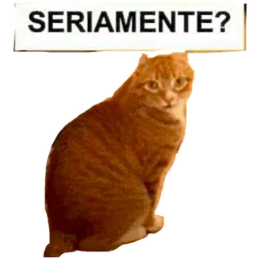Cats4Lux - Sticker 23