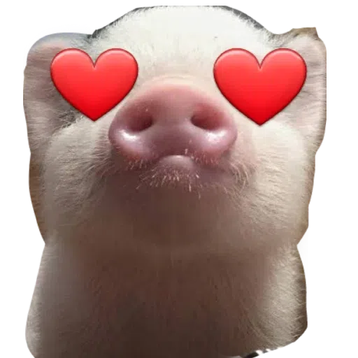 Stickers Meme2 - Sticker 24