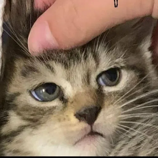 purrlotta - Sticker 11