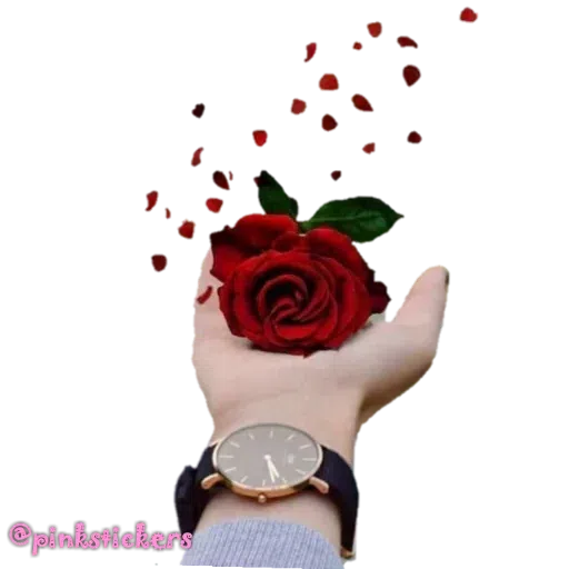 Try - Sticker 29