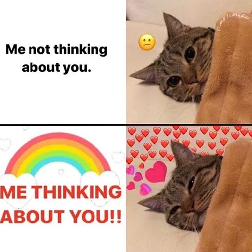 cute - Sticker 16