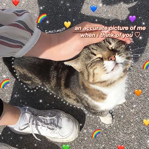 cute - Sticker 20